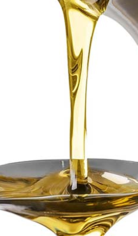 Gold Fin International LLC