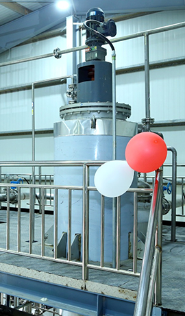 Gold Fin International LLC