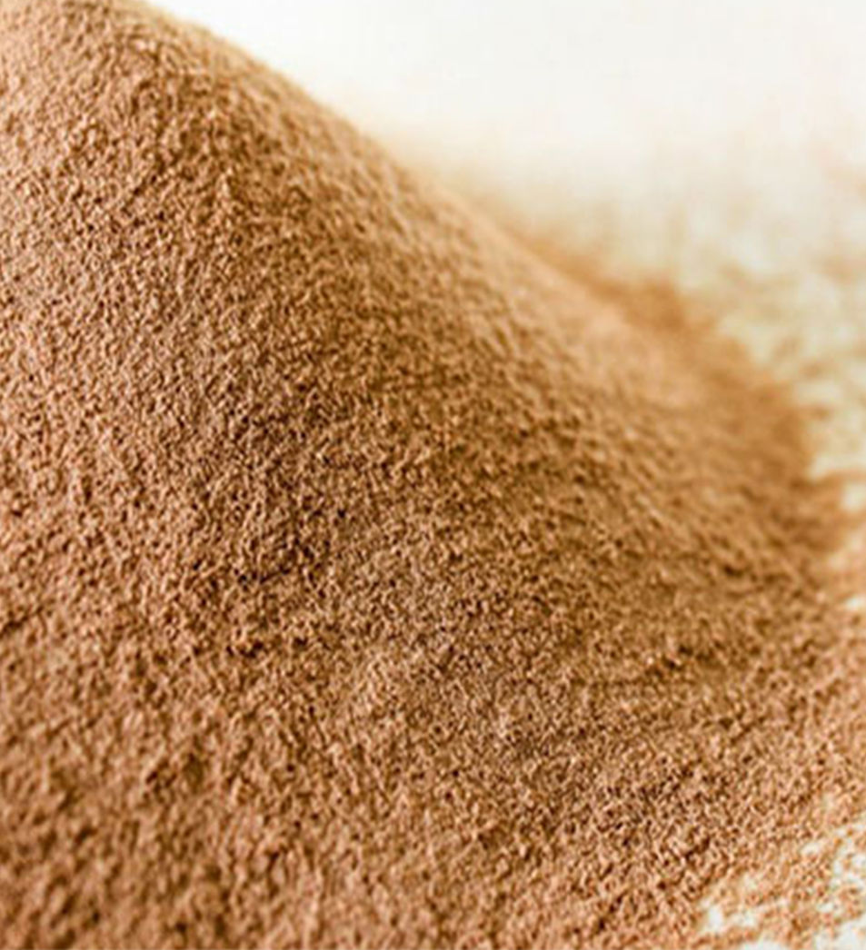 Gold Fin International LLC