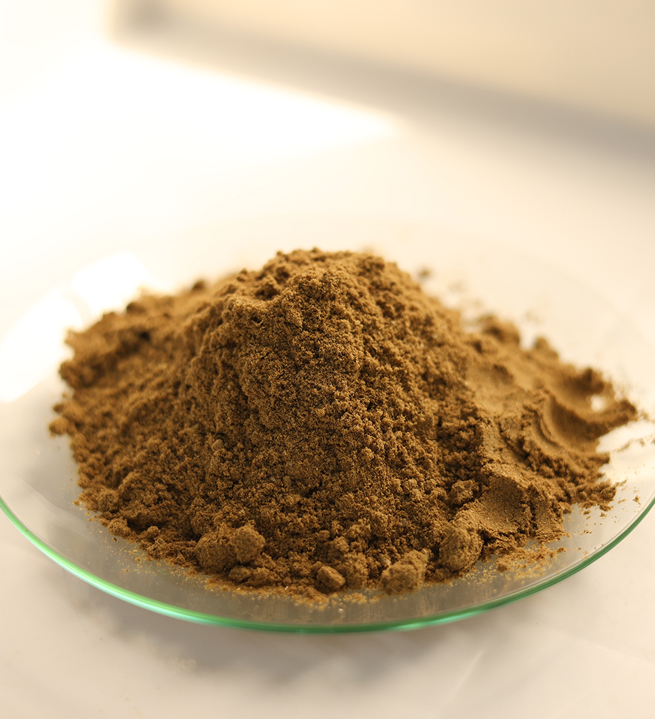 Gold Fin International LLC